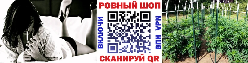 А ПВП Нестеровская
