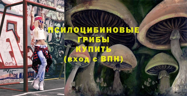 PSILOCYBIN Абинск
