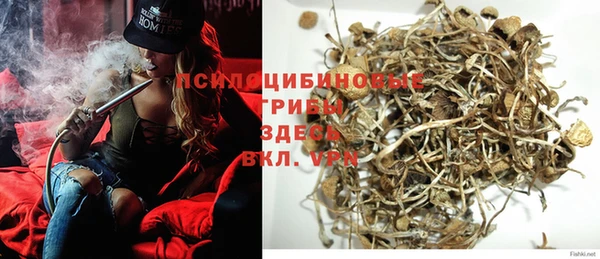 PSILOCYBIN Абинск
