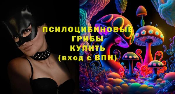 гидра Бердск